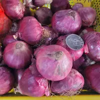在飛比找蝦皮購物優惠-珍珠紫洋蔥Bawang ungu mutiara/bawan