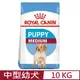 ROYAL CANIN法國皇家-中型幼犬 MP 10KG