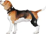 Dog Knee Brace, Back Leg Support Brace, Non-Slip Pet Knee Sleeve with Adjustable Strap, Soft Protector for Mobility, Fixation, Recovery, Rehabilitation, Comfortable Fit, 1-Pack
