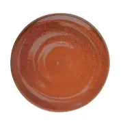 Oneida F1493025156 Terra Verde Cotta 11.5" Porcelain Dinner Plate - 1 Doz