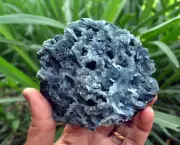 chalcedony coral minerals specimen a-4