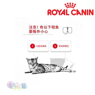 【法國皇家Royal Canin】強效潔牙成貓專用乾糧O30 1.5KG /3.5KG 毛貓寵