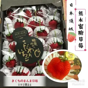 【緁迪水果JDFruit】日本限定-黑旋風熊本糖蜜草莓18~21玉【免運費】年節送禮-限量,需預訂出貨-l