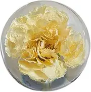 Valentines Day,Crystal Ball with Preserved Flower Rose,3D Inner for Liv Clear Flower Ball,Super Crystal Sphere