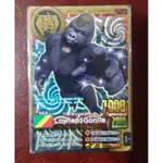 百獸卡 LOWLAND GORILLA 絕版品