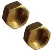 Pair 1/8" NPT Pipe Thread Cap Plug Brass Air Fuel Oil Boat N-A5