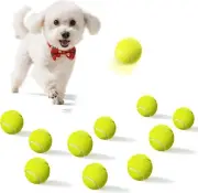 10 Pack Small Tennis Balls for Dogs, Easy Catching Pet Balls for Exercise and Fe