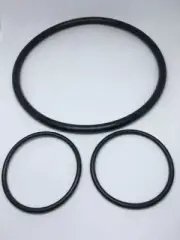 Astral Hurlcon Viron P320 Aquatight Pool Pump Oring Kit. Free Shipping