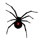 Spider Sticker - Black Widow Spider Decal - Halloween