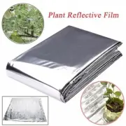 Reflect Light Efficiently with Silver Blanket for Plantation Tent Room
