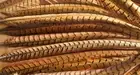 Natural PHEASANT FEATHERS x2 50cm -PHEASANT FEATHERS-FASANENFEDERN