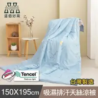 在飛比找momo購物網優惠-【這個好窩】台灣製 吸濕排汗萊賽爾天絲涼被(多款任選)