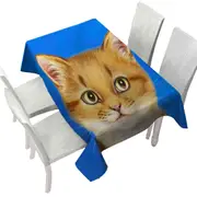 Handsome Ginger Cat over Blue Tablecloth