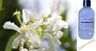 JASMINE & MAGNOLIA - Reed Diffuser Refill