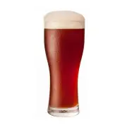 FLAT TIRE AMBER ALE Home Brew Beer Recipe Ingredient Kit (New Belgium Fat tire)