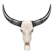 Indo Homewares Raw Buffalo Skull