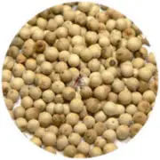 White Peppercorns - 1 KG