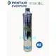 【年盈淨水器】美國原裝 Pentair Everpure H100 濾心【抑垢型】~另有S54,S100,S104,H54,H100