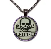 Poison Crossbones Halloween Accessory - Handmade ROUND Glass Pendant Necklace