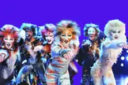 CATS The Musical
