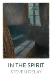 In the Spirit by Steven DeLay NEW Paperback softback