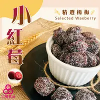 在飛比找蝦皮商城優惠-【三陽食品】小紅莓 (純素蜜餞) 300g 冰糖楊梅 酸甜楊