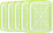 5 × Tray Seed Sprouter for Seedling Planting Germinator Great for Office Garden