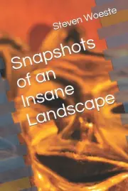 Snapshots of an Insane Landscape by Steven Woeste Paperback Book