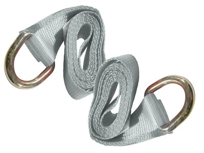 12 ft Silver Lasso Tie Down Straps w/ O-Ring D Ring (2 Pack) 2" Wide Cinch
