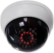 Binxind Indoor CCTV Fake Dummy Dome Security Camera with IR LEDs White