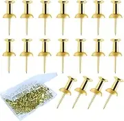 100Pcs Gold Push Pins, Double Headed Picture Hanging Nails, Pins for Wall, Bulletin Board, Poster (Boxed)