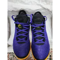 在飛比找蝦皮購物優惠-Nike Zoom LeBron NXXT Gen EP 紫