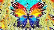 Splatter Paint Butterfly Abstract Ar / High Quality Canvas home wall art & Decor