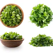 Parsley - Midori seeds