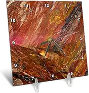 3dRose Desk Clock - Close-up Petrified Wood, Petrified Forest NP, Holbrook, Arizona, USA (dc_331037_1)