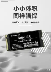 在飛比找Yahoo奇摩拍賣-7-11運費0元優惠優惠-TOPMORE達墨巨蟹座 2242 PCIE3.0 1TB 