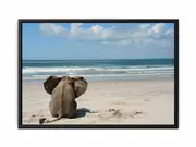 Realx Framed Print Fine Art Poster Print