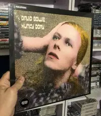 在飛比找Yahoo!奇摩拍賣優惠-黑膠唱片 David Bowie Hunky Dory lp