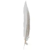 20" to 30" Silver Pheasant Tail Feather - Natural