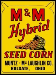 M&M Hybrid Seed Corn - Holgate, OhiO New Metal Sign: 9x12 & Free Shipping