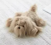 Pottery Barn Kids Plush weighted Shih Tzu dog toy