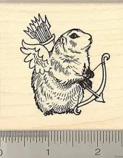 Valentine's day Groundhog cupid rubber stamp J8911 WM