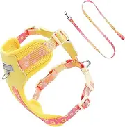Lightweight Dog Harness | Dog Chest Harness | Escape Proof Collar Breathable Adjustable for Large Breed Daily Walking Outdoor Sports Training Park Car Travel