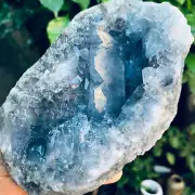 3.79LB Natural Beautiful Blue Celestite Crystal Geode Cave Mineral Specimen
