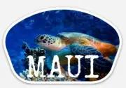 Hawaii MAUI TURTLE STICKER - Island beach surfing surf shop Hawaiian sunset