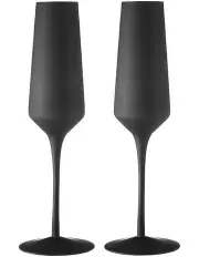 [TEMPA] Aurora Champagne Glass 2 Pack in Matte Black