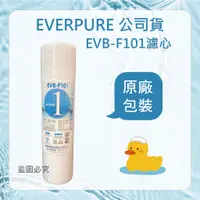 在飛比找蝦皮購物優惠-EVERPOLL 愛惠浦 EVB-F101 10吋 1微米 