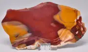 MOOKAITE Polished Slice, FOSSIL RADIOLARIAN Western Australia S968