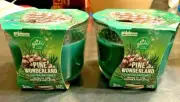 2 Limited Edition Glade Pine 3 Wick Candle Essential Oil Air Freshener