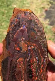 Boulder opal rough / display piece, weighs: 551g